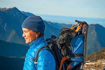 Woman hiker with tired puppy in a backpack, Mount Townsend, northwest Olympic National Park, Olympic Peninsula, Washington, USA. November 2013. Model released.