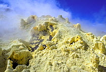 Sulphur fumaroles inside caldera of Sierra Negra Volcano, Galapagos Islands.