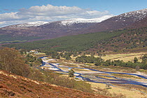 View across River Feshie in late winter, Glenfeshie, Cairngorms National Park, Scotland, May 2013.