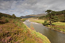 River Feshie, Glenfeshie, Cairngorms National Park, Scotland, August 2013.