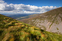 View north from Meall nan Sleac over Glenfeshie, Cairngorms National Park, Scotland, August 2013.