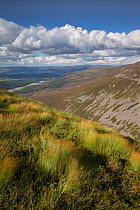 View north from Meall nan Sleac over Glenfeshie, Cairngorms National Park, Scotland, August 2013.