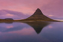 Mount Kirkufell reflected at dawn, Snaefellsnes, Iceland, September 2013.