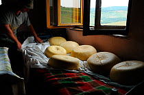 Traditional Transylvanian sheep cheese. Gurghiu Mountains, Romania, July.