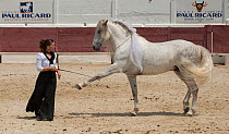 Woman with Camargue horse with leg extended at Mejanes Horse Fair - Feria Cheval Mejanes, a 1000 year old horse show, Mejanes, Camargue, France, July 2013