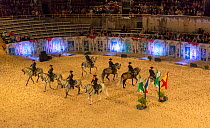 Royal horse school of Jerez (Andalucia) demonstrating dressage techniques at Arles Arena, Bouches-du-Rhone, France, August 2008.