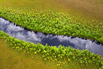 RF- Aerial view of river with clouds reflected in water, Sjaunja Bird Protection Area, Greater Laponia Rewilding Area, Lapland, Norrbotten, Sweden, June 2013. (This image may be licensed either as rig...