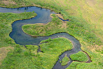 Aerial view of Vietasatno River meandering near source, Stora Sjofallet National Park, Greater Laponia Rewilding Area, Lapland, Norrbotten, Sweden, June 2013.