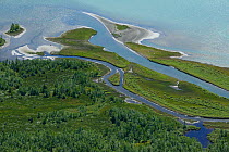 Aerial view of the Rapa river delta flowing into Lake Laitaure, Sarek National Park, Greater Laponia Rewilding Area, Lapland, Norrbotten, Sweden, June 2013.