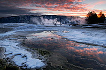 Early morning light on Mammoth Hot Springs, Upper Terraces Area, Yellowstone National Park, Wyoming, USA, January 2014.