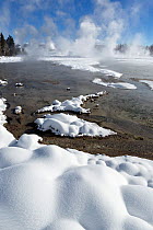 Snow in the Norris Geyser Basin, Yellowstone National Park, Wyoming, USA, February 2014.