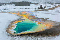 Heart Spring in the Upper Geyser basin of Yellowstone National Park, Wyoming, USA, February 2014.