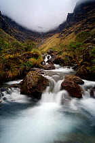 Mountain stream with low clouds at top of valley, High Andes, Bolivia, October 2013.