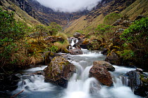 Mountain stream with low clouds at top of valley, High Andes, Bolivia, October 2013.