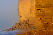 Rock fall at base of  cliff near Burton Bradstock, Jurassic Coast, Dorset, UK, February 2014.