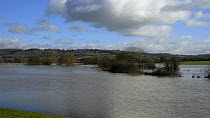 View of the River Avon in spate at Melksham, Wiltshire, England, UK, February 2014.