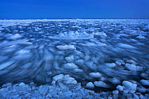 Moving sea ice, Magdalen Islands, Gulf of St Lawrence, Quebec, Canada, March 2013.