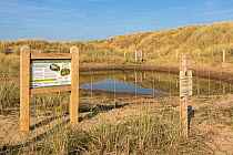 Natterjack toad (Epidalea calamita) breeding pond with information sign, Ainsdale Nature Reserve, Merseyside, UK. April 2014.