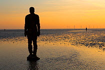 A figure from Antony Gormley's 'Another Place' installation on the shore at Crosby, Merseyside, UK. April 2014.