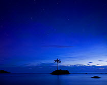A lone palm tree at twilight off the coast of American Samoa. January 2012.