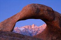 Mount Whitney, seen at sunrise through Mobius Arch in the Alabama Hills of the Eastern Sierra, Owens Valley, California, USA. December 2009.