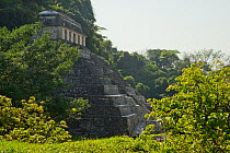The Palenque Mayan ruins - Temple of the Inscriptions, Chiapas, Mexico. March 2014.