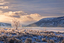 Sunrise over the Lamar Valley in winter, Yellowstone National Park, Wyoming, USA. December 2013.