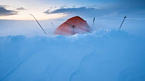 Snow blowing past tent camp at dawn, Dovrefjell - Sunndalsfjella National Park, Norway, January 2012.