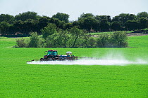 Tractor with a spraying unit spraying cereal crop, showing significant spray drift, Norfol, UK, April.