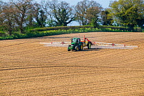 Tractor spraying herbicide to prevent weed growth in Sugarbeet (Beta vulgaris) crop, Norfolk, UK, April.