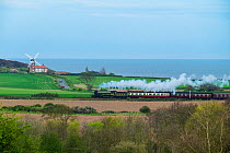 Steam train on the Heritage Poppy Line from Sheringham to Holt, with Weybourne Mill in background, Norfolk, UK, April.