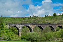 Walkers and cyclists on the Monsal Viaduct, known as the Monsal Trail, Peak District National Park, Derbyshire, England.