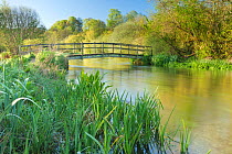 View of the River Itchen at Ovington, Hampshire, England, UK, May 2012.