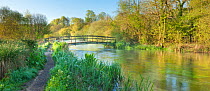 View of the River Itchen at Ovington, Hampshire, England, UK, May 2012.