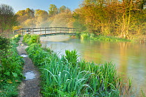 View of the River Itchen at dawn, Ovington, Hampshire, England, UK, May 2012.