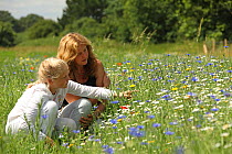 Mother and daughter observing bees in wild flowers at 'Bee World', Bishop's Meadow, Farnham. Surrey, England, UK, July 2014. Model released. Bee Worlds is an initiative of Friends of the Earth.