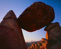 Balanced Rock in the Grapevine Hills at dawn, Big Bend National Park, Texas, USA.