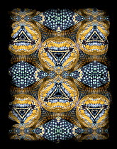 Kaleidoscope pattern formed from picture of Wagler's Temple Viper (Tropidolaemus wagleri) scales. See original image number 01173495.