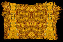 Kaleidoscope pattern formed from picture of Variable Bush Viper (Atheris squamigera) face and scales.
