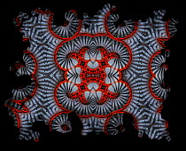Kaleidoscope pattern formed from picture of Rainbow Millipede (Aulacobolus rubropunctatus). See original image number 01295835.