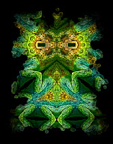 Kaleidoscope pattern formed from picture of Johnstons Chameleon (Chamaeleo johnstoni) face and legs. Restricted for Editorial use until December 2015