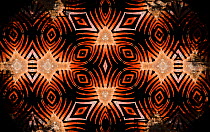 Kaleidoscope pattern formed from picture of Iguana (Iguana iguana) spines. See original image number 01395867.