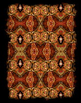 Kaleidoscope pattern formed from picture of an Eyelash viper (Bothriechis schlegelii). See original image number 01395832.