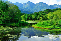 Landscape of the wetlands of REGUA - Reserva Ecologica Guapiacu, and the Atlantic Rainforest at Cachoeiras de Macacu, Rio de Janeiro State, Southeastern Brazil.