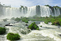 Iguassu Falls at Iguacu National Park, Foz do Iguacu, Parana State, Southern Brazil, April 2013.