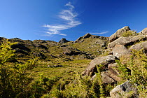 Highlands of Itatiaia National Park, Itamonte. Minas Gerais State, Southeastern Brazil, July 2013.