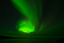 Aurora borealis over the coast of Wrangel Island, Far Eastern Russia, September 2011.