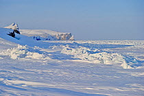 Fast ice on the coast of Wrangel Island, Far Eastern Russia, March 2011.