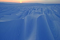 Wind sculpted snow drifts, Wrangel Island, Far Eastern Russia, March 2011.