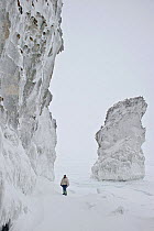 Man standing next to ice covered rock stack for scale, Wrangel Island, Far Eastern Russia, March 2011.